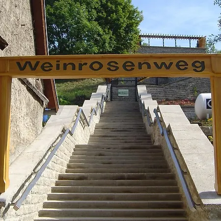 Sonnekalb 3* Naumburg (Saale)
