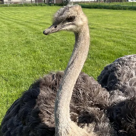 Sonnekalb 3* Νάουμπουργκ