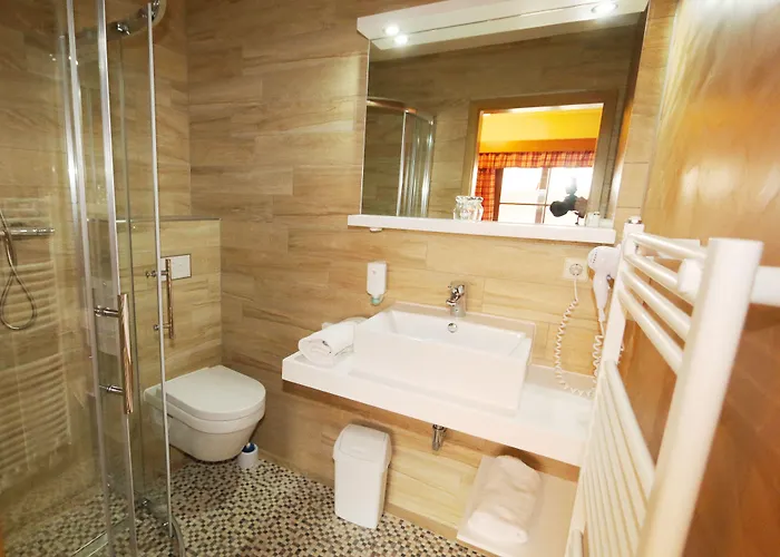 舒内卡尔伯酒店 3* 萨勒河畔瑙姆堡