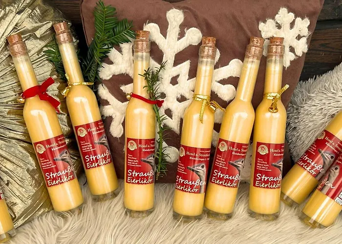 舒内卡尔伯酒店 3*