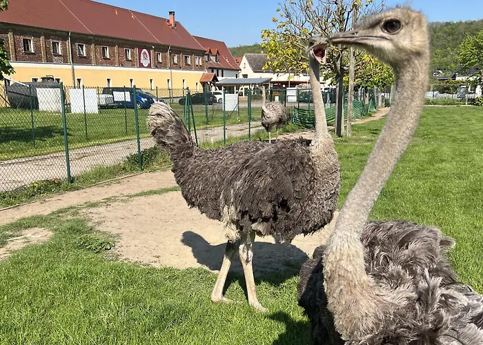 舒内卡尔伯酒店 3*