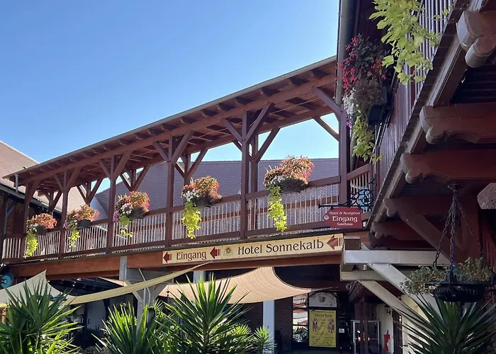 舒内卡尔伯酒店 酒店