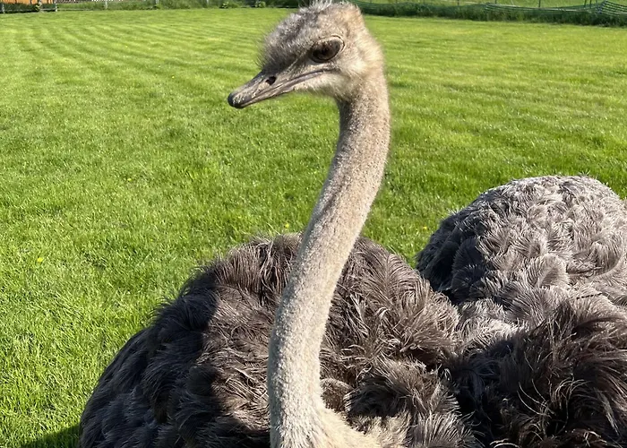 Sonnekalb 3* Наумбург